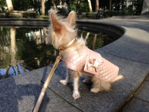 baby pink designer dog coat on Bark and Swagger