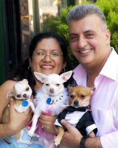 Ada, Edgar & the Chihuahuas