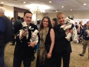 NY Pet Fashion Show designs on Bark and Swagger