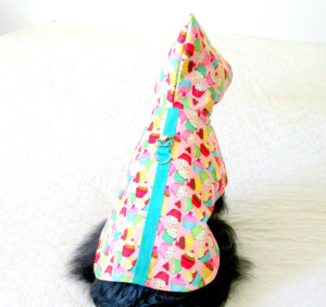 Dog Raincoats for Spring