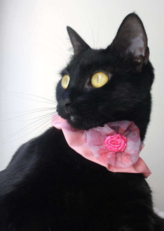spring floral trend for pet clothes 