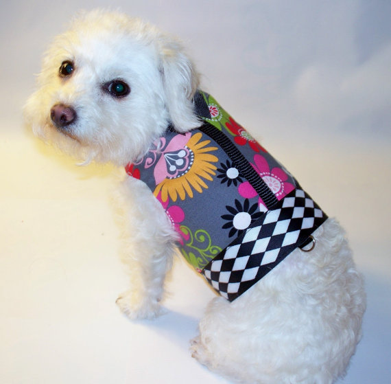 spring floral trend in pet clothes