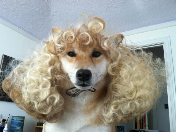 IAPFP Oct14 Halloween wig