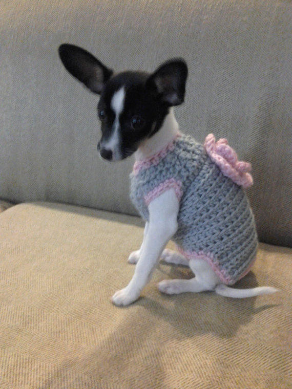 Cutie Grace Crocheted Sweater