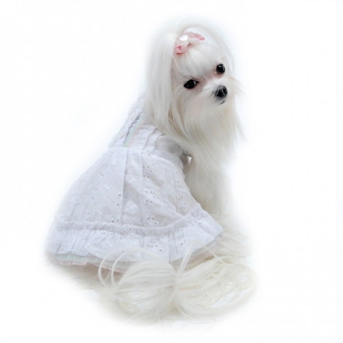 IAPFP May2015-delicate white dress-angel_in_disguise_dog_sundress