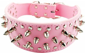 Pink Punk Dog Collar