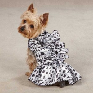 Leopard Print Dog Dress