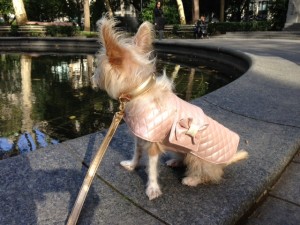 Sophie in her new Pastel Fall Coat