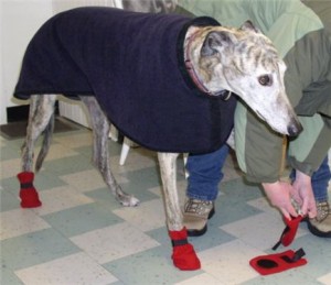 DIY dog boots, homemade dog boots, DIY holiday dog gifts, fleece dog booties