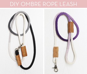 DIY dog leashes, DIY dog accessories