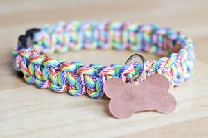DIY dog collar, homemade dog collar, DIY holiday dog gift