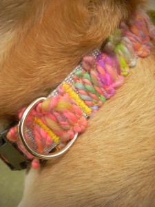 DIY dog collar, homemade dog collar, diy holiday dog gifts