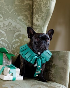 DIY holiday dog collar, homemade holiday dog collar, Martha Stewart holiday dog collar
