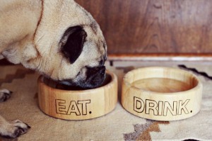 DIY dog accessories, diy dog bowls, diy holiday dog gifts, homemade dog bowls, homemade dog accessories, diy holiday dog gifts