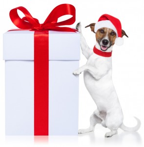 pets as gifts-ASPCA weighs in at Bark and Swagger