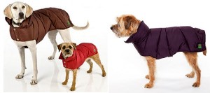 Fashion for Boy Dogs-Coats-Bark and Swagger