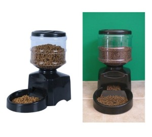 automatic dog feeder at Bark and Swagger