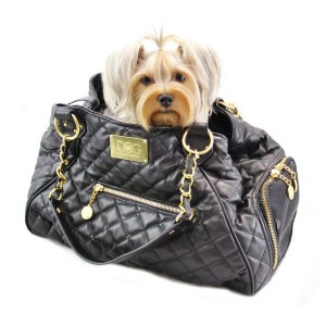 Classic fashionable dog tote for women at Bark and Swagger