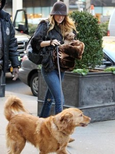 Blake LIvely with Penny and Ryan Reynolds' dog Baxter