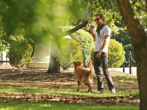 Ryan Reynolds with his dog Baxter