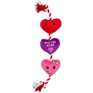 Valentines Hearts/Rope toy on Bark and Swagger
