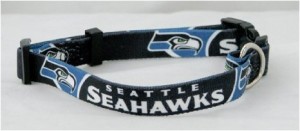 Seattle Seahawks Dog Collar on Bark and Swagger