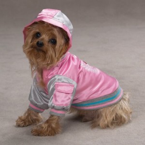 Bomber jackets for dogs on Bark and Swagger