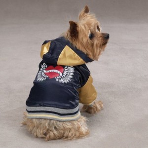 Bomber jackets for dogs on Bark and Swagger