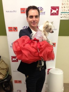 canine couture for a cause on Bark and Swagger