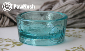 Bark and Swagger discount on PawNosh glass dog bowls