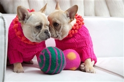Spring Dog Sweaters on Bark and Swagger