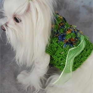 St Patricks Day Dog Clothing on Bark and Swagger