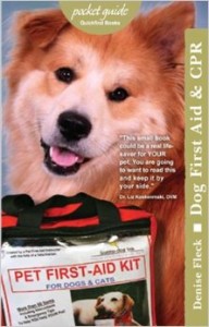 Emergency Dog Care on Bark and Swagger