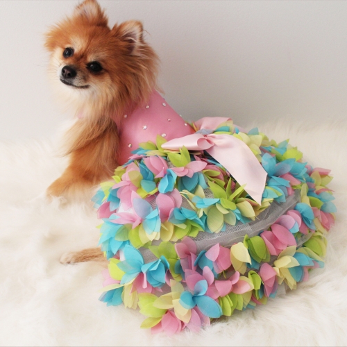 Pastel dog apparel for spring on Bark and Swagger