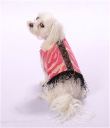 Collarless dog coats for spring on Bark and Swagger