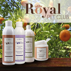 Discount on Prince Lorenzo Borghese's Royal Treatment organic dog products 