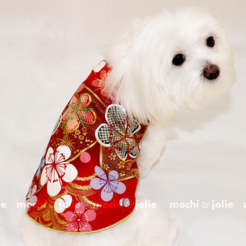 dog clothing and accessories celebrating Buddhas Day on Bark and Swagger