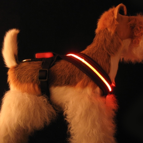 L.E.D. harnesses, collars and leashes on Bark and Swagger
