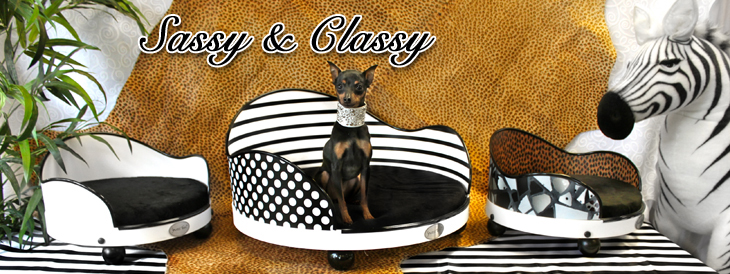 Interchangeable parts pet beds; art meets practical on Bark and Swagger