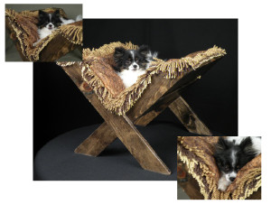 Interchangeable parts pet bed design; art meets practical on Bark and Swagger