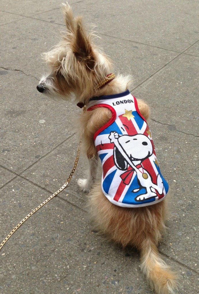 Fun summer dog clothes, tanks & tees on Bark and Swagger