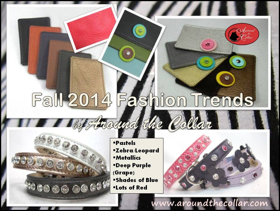 Around the Collar-Fall 2014 Fashion Trends2