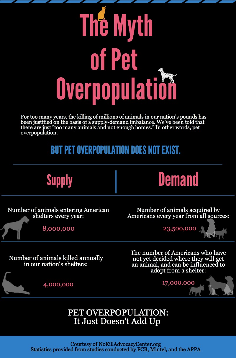 The Myth of Pet Overpopulation