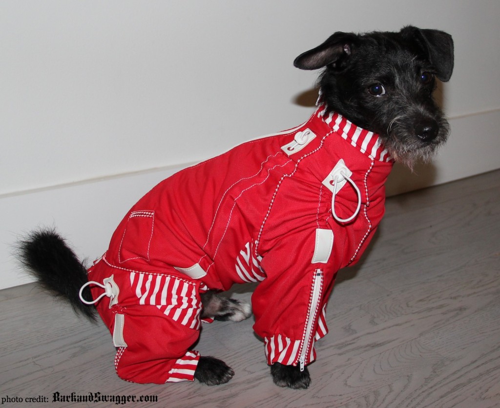 stylish full coverage body coats for dogs on Bark and Swagger 