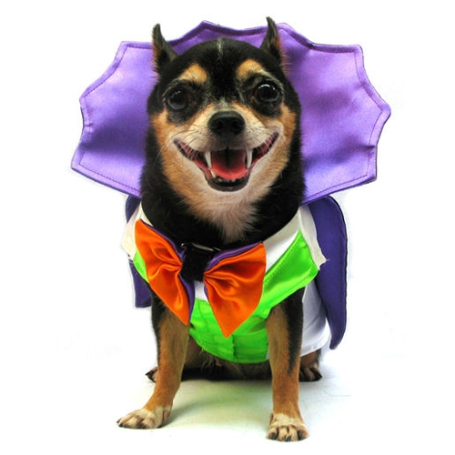 My top 5 Halloween dog costumes and why I love 'em on BarkandSwagger.com