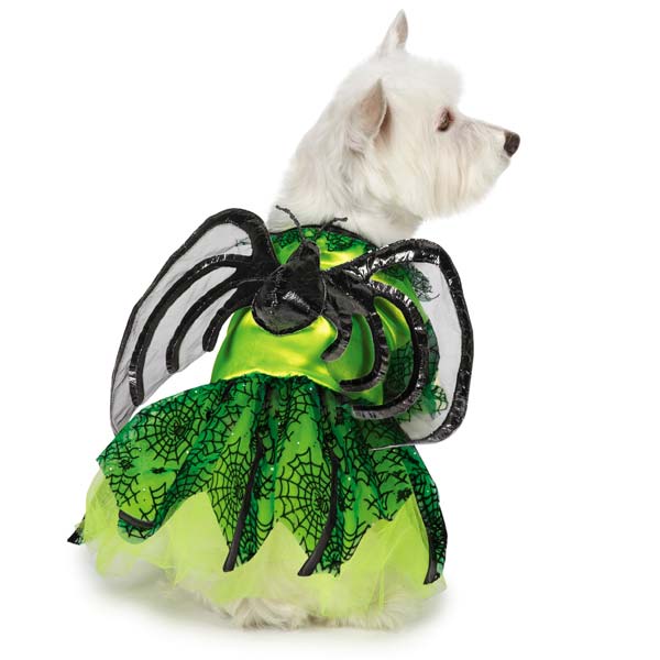 My top 5 Halloween dog costumes and why I love 'em on BarkandSwagger.com