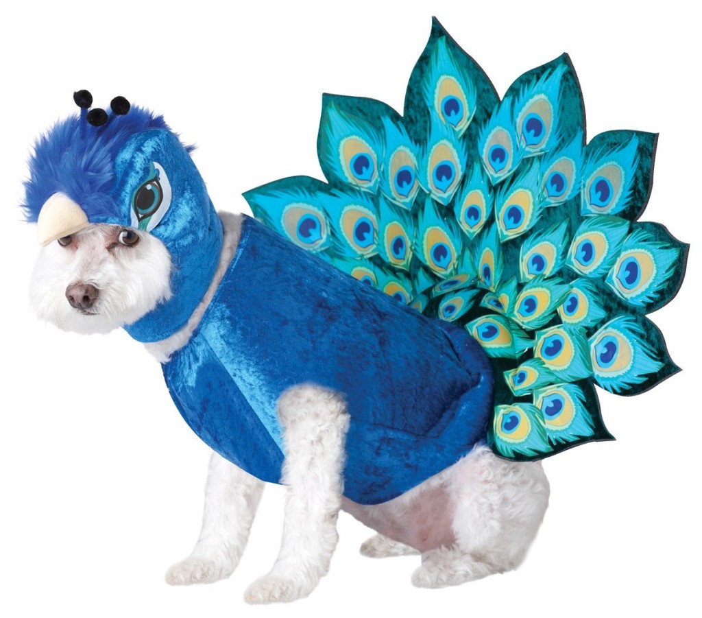 My top 5 Halloween dog costumes on BarkandSwagger.com
