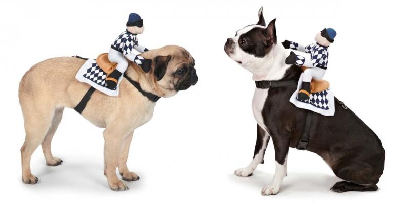 My top 5 Halloween costumes for dogs on BarkandSwagger.com