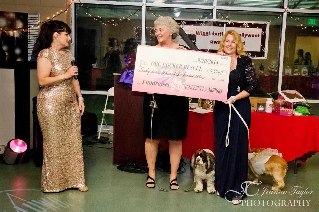 Wigglebutts Go Hollywoof raised $30,000 to help Cocker Spaniels, on BarkandSwagger.com
