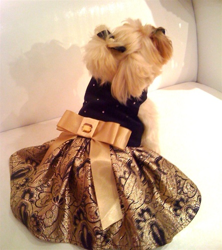 Holiday dog apparel with pizzazz on www.BarkandSwagger.com